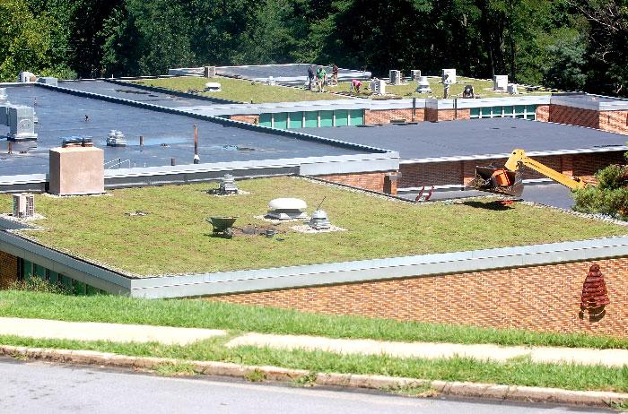 Mandate New Public Schools Come with Green Roofing