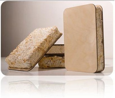Build a Home with Ecovative Design’s Seed Husk Blocks