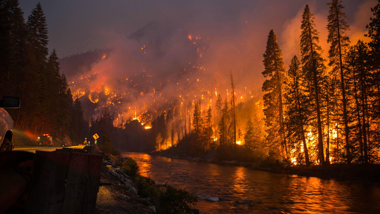 Forests on Fire in the Wettest Region of the US?