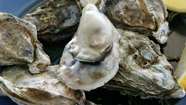 The Oyster Problem