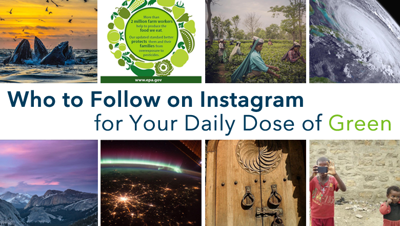 Follow these Instagram accounts if you love the environment