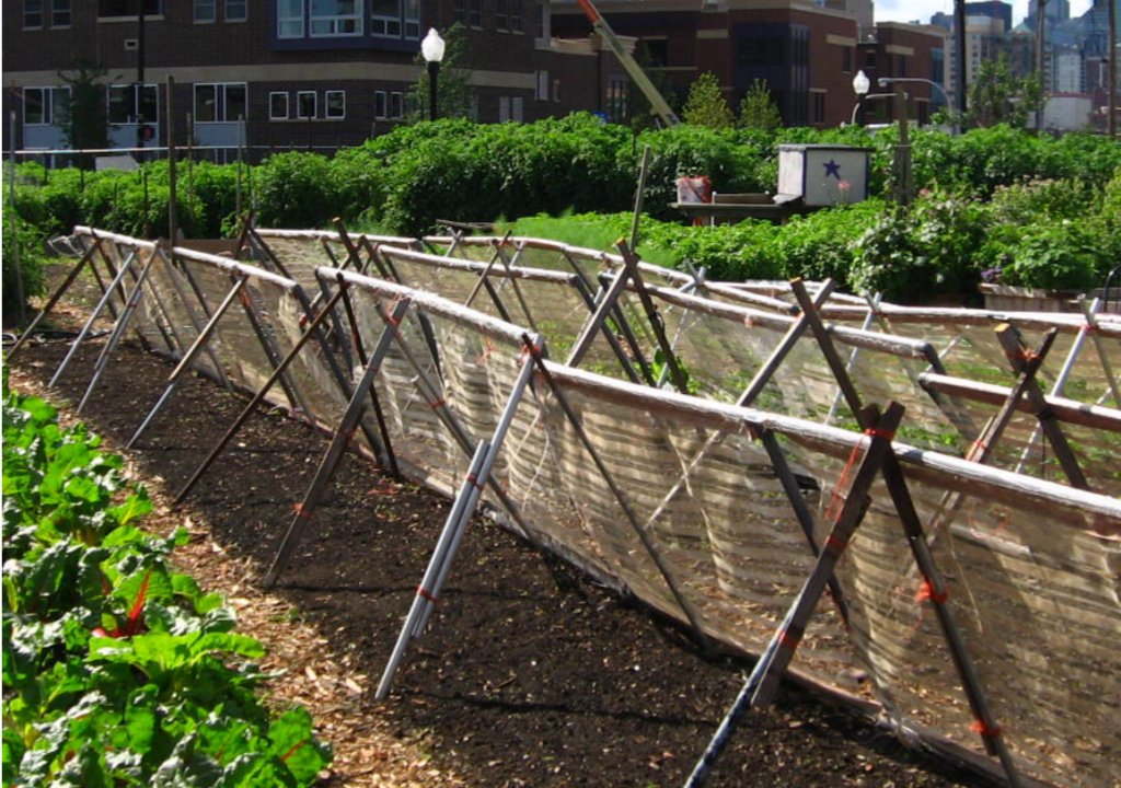 Sky High: Rooftop Farming and Urban Sustainability