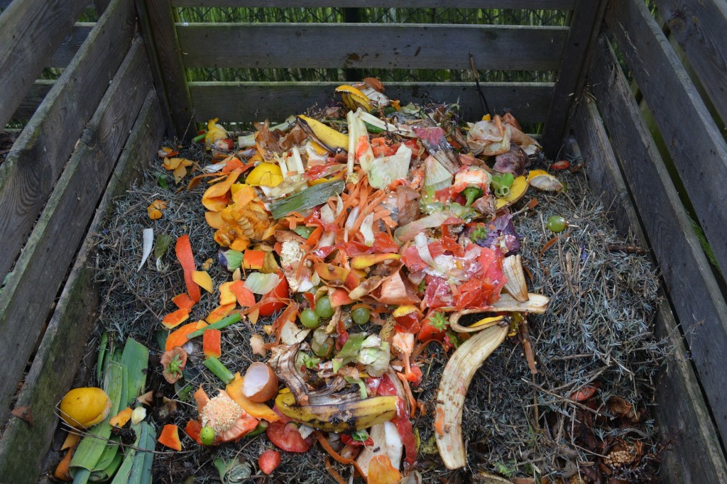 Waste Not Wednesday: What is food waste?