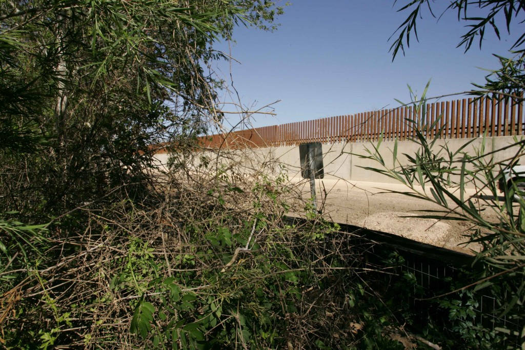 More Than Just People: Ecological impacts of a border wall