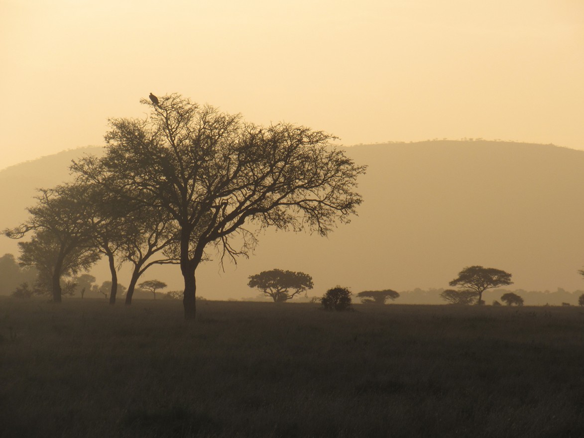 Climate change in East Africa: What you need to know