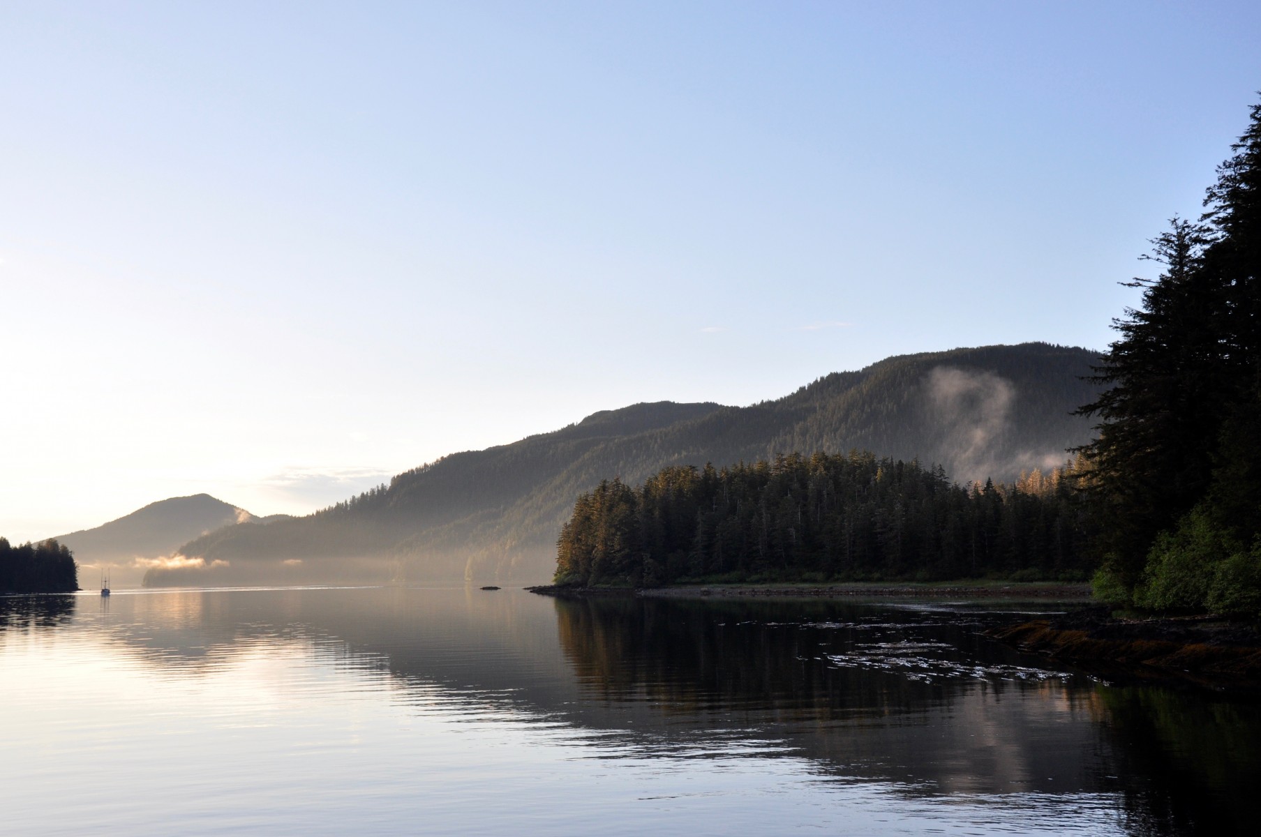 Morning mist in Alaska