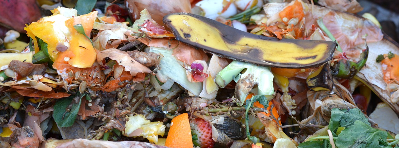 Top reasons why you’re avoiding composting & how to get over that crap