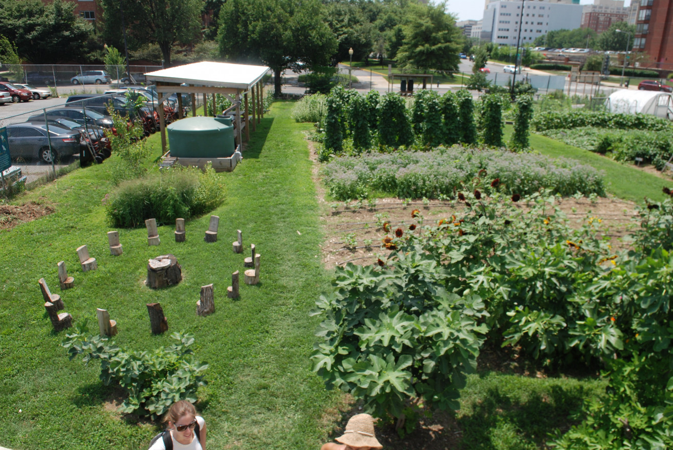 Is there hope for food justice in an urbanizing city?