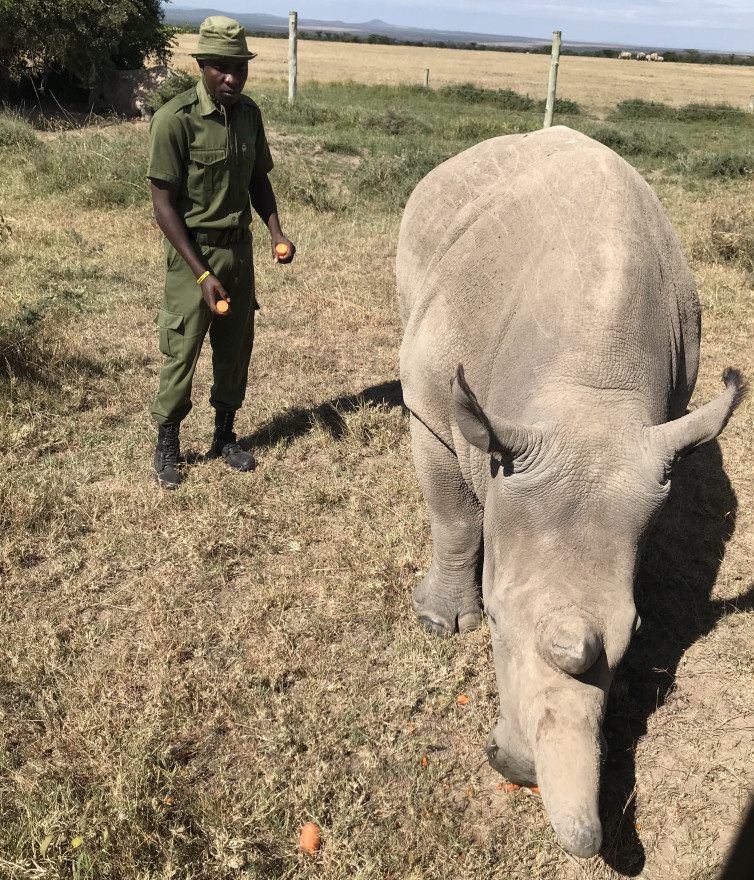 The Rhino Ranger: A morning with James Mwenda