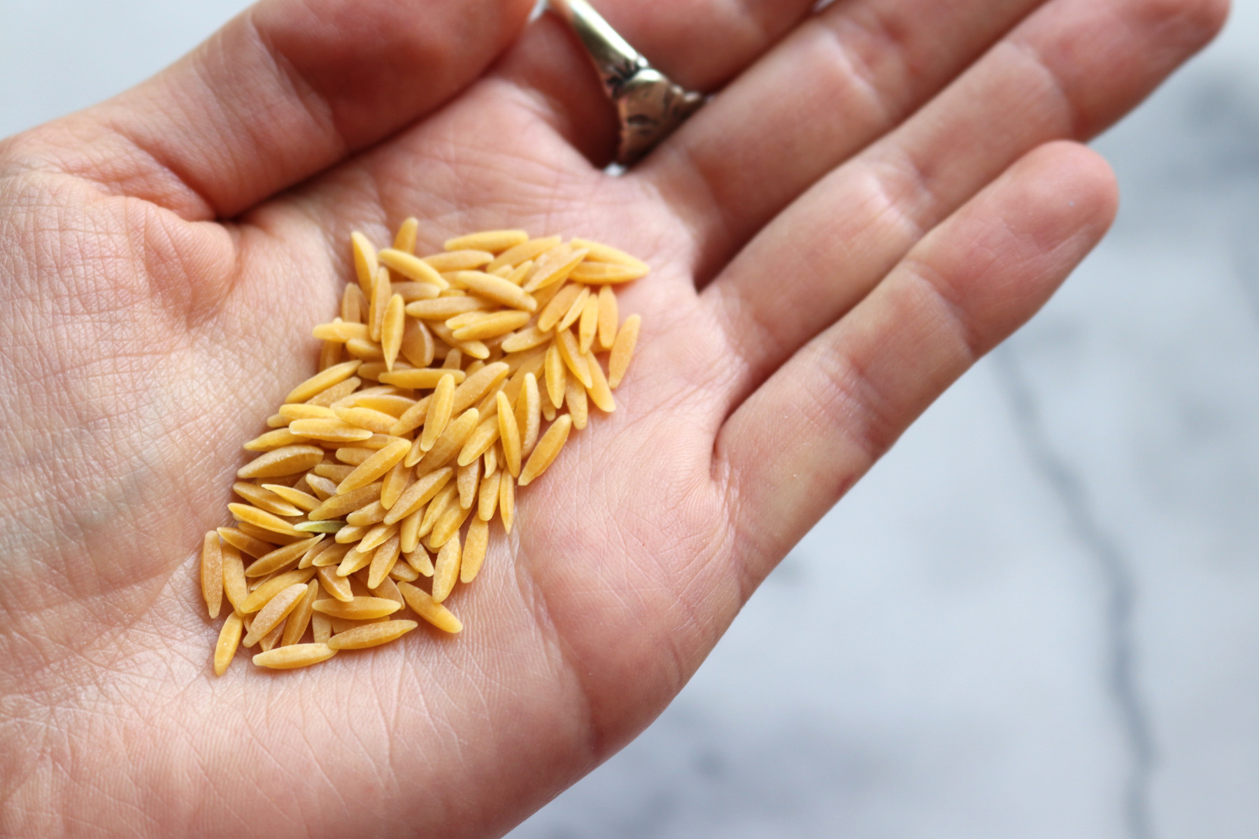 rice in the palm of a hand