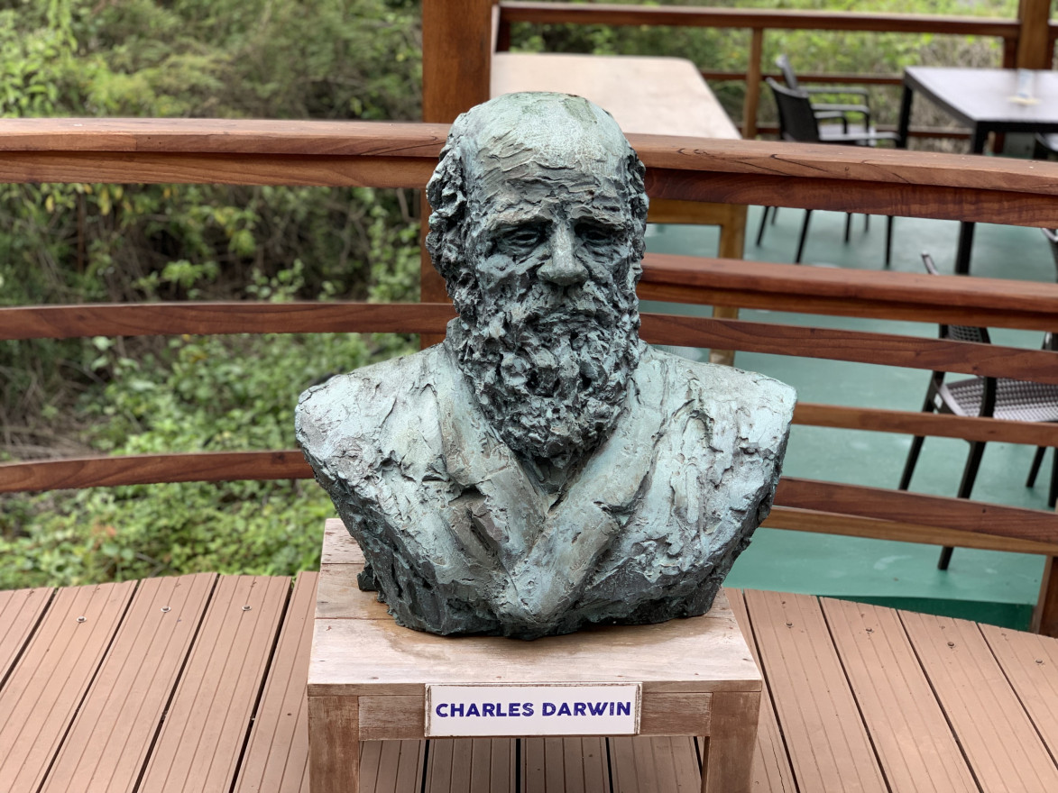Charles Darwin bust