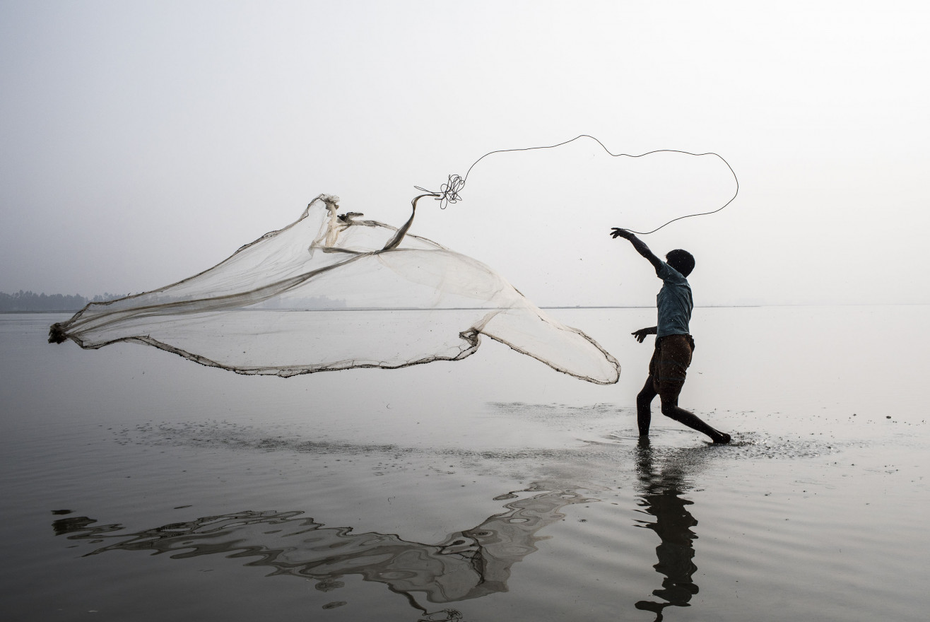 A fisherman throws a net in the River Tista in Bangladesh