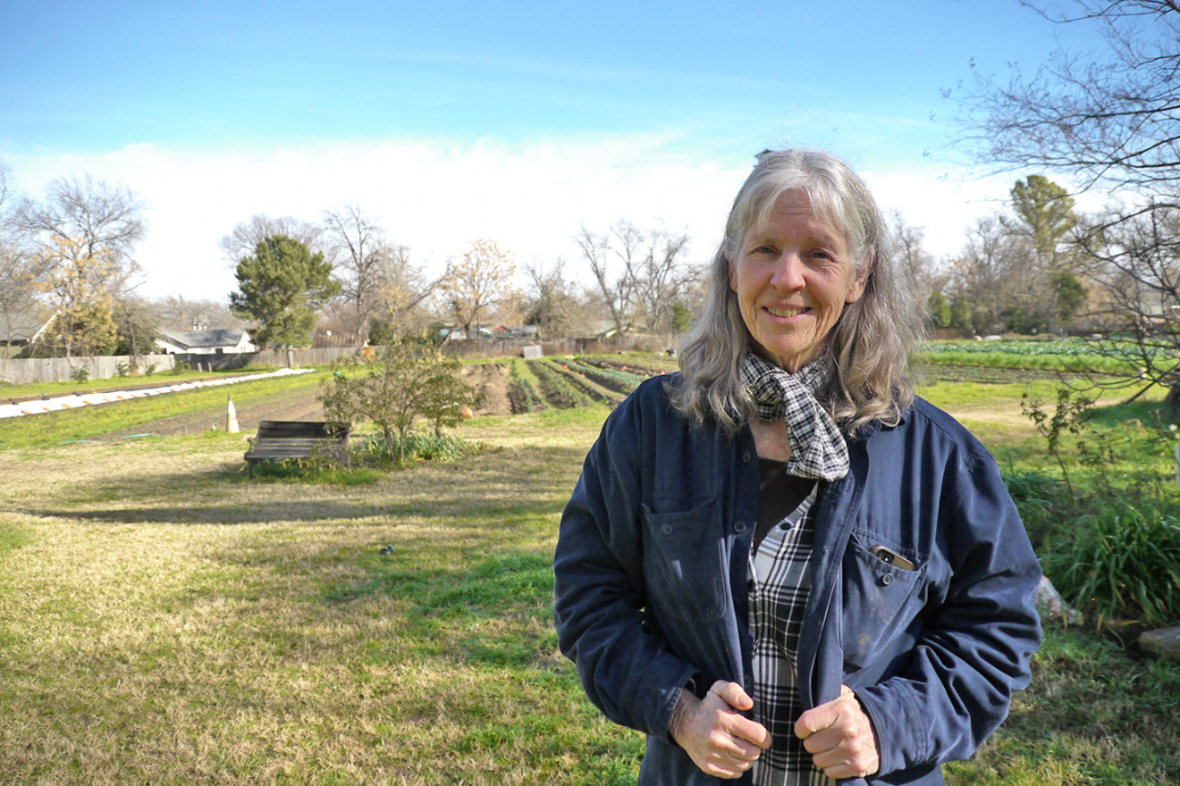 Home-sown: Austin’s first urban farms and the birth of its locavore movement