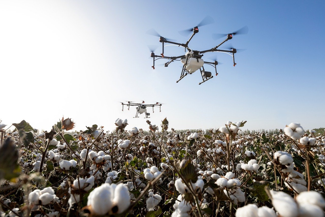 agriculture drone over cotton plants