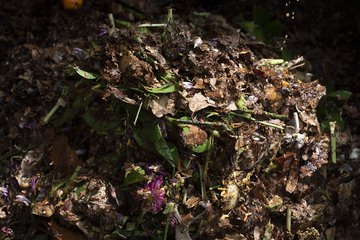 Why to compost your food, and avoid the trash can