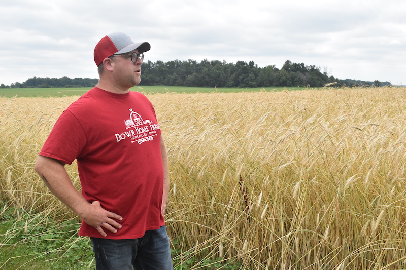 A man in a red t-shirt, blue jeans, a baseball cap, and glasses stands with his hands on this hips looking to the left of the frame, standing in a field of grain.