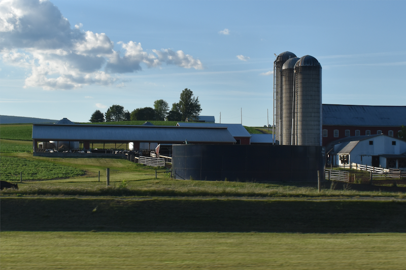 A farm, including three tall silos and several buildings, sits on green, grassy land below a blue sky with fluffy, white clouds. 