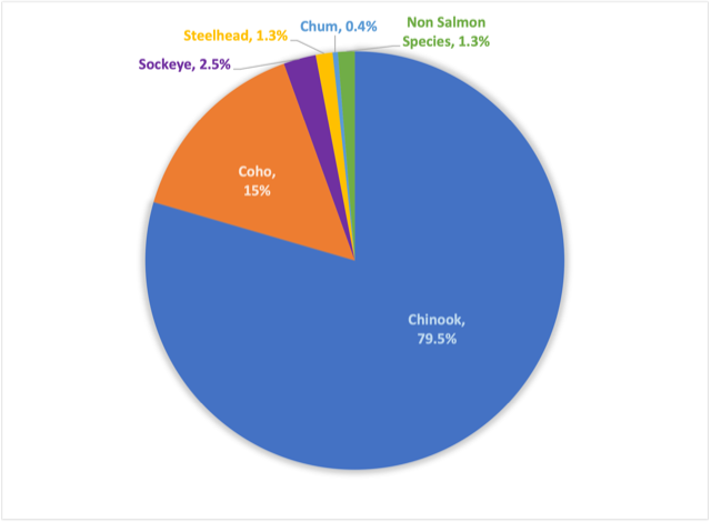 A pie chart that shows that Chinook salmon were the dominant prey of Souther resident orcas in the Salish Sea during the summer months from 2006-2011.