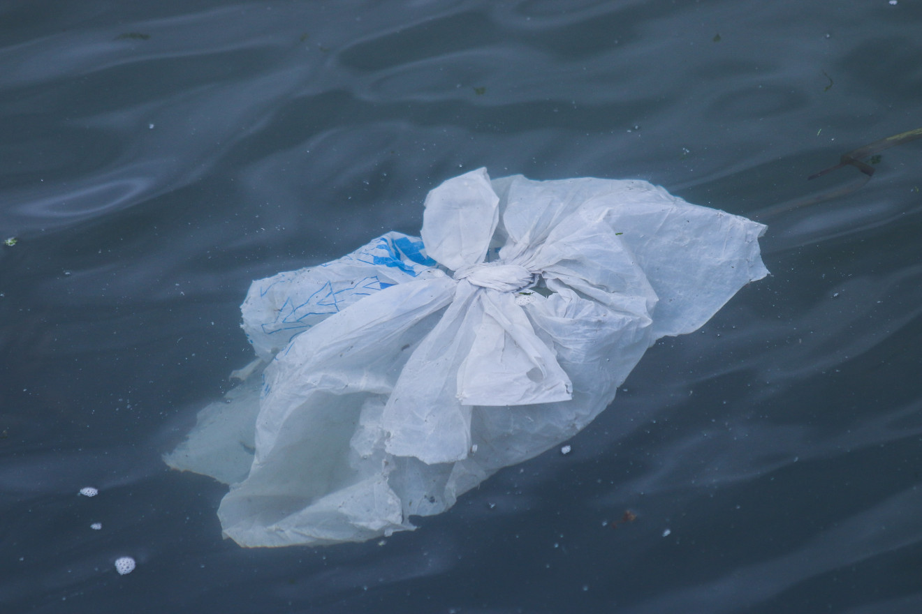 White plastic bag floating in a body of water. 