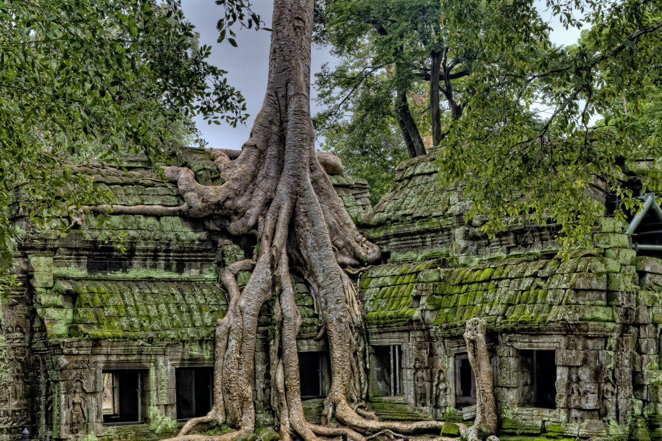 Moss-covered temple in Cambodia