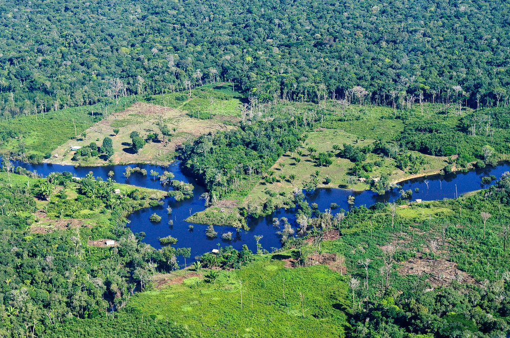 Aerial view of the Amazon Rainforest with a winding blue river running through it.