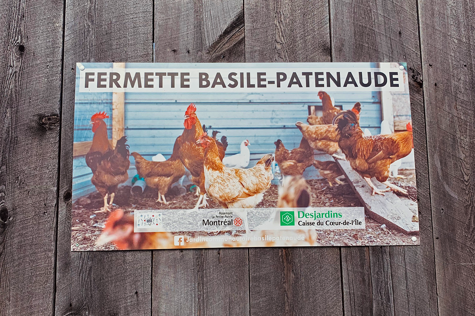 A sign for the farmhouse pasted onto a wooden surface shows several hens