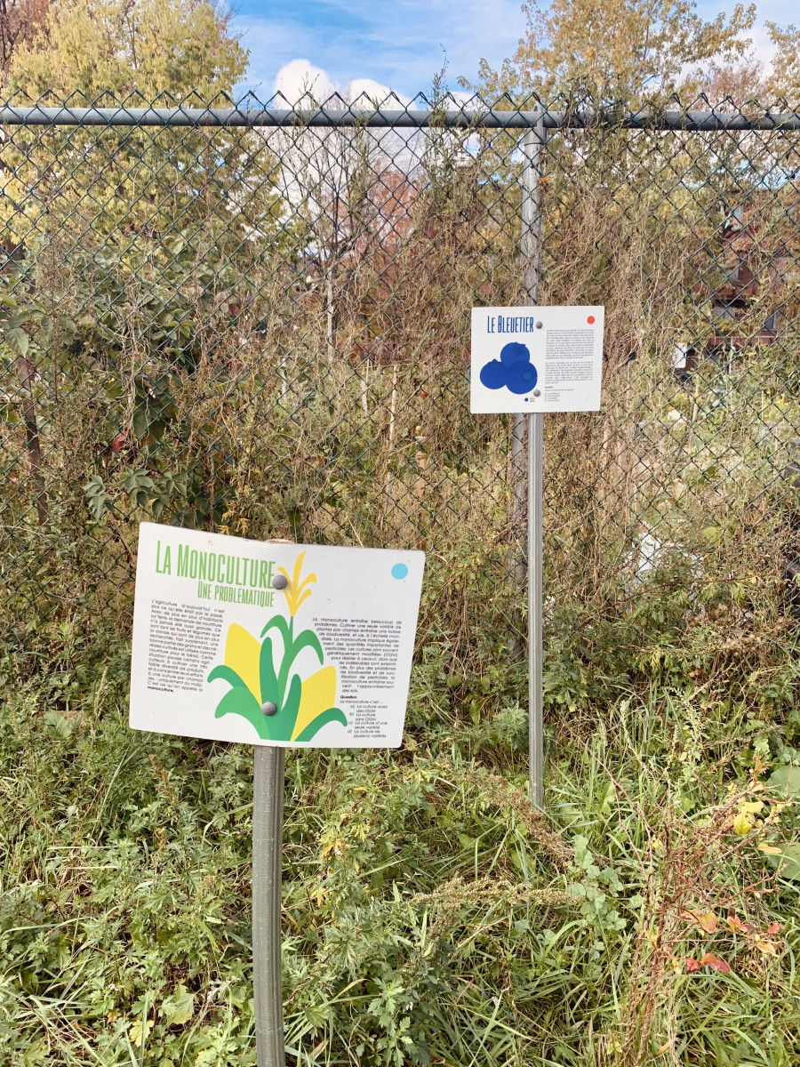 Signs for berry bushes in front of a wire fence.