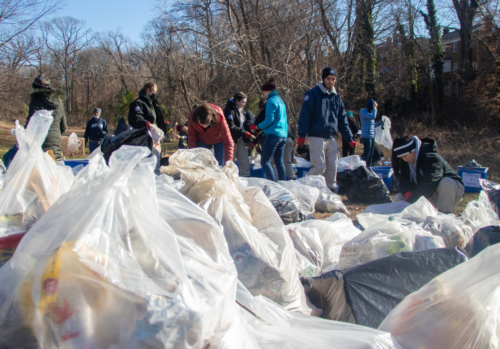 Volunteers in winter gear collect trash into many bags in a wooded clearing.