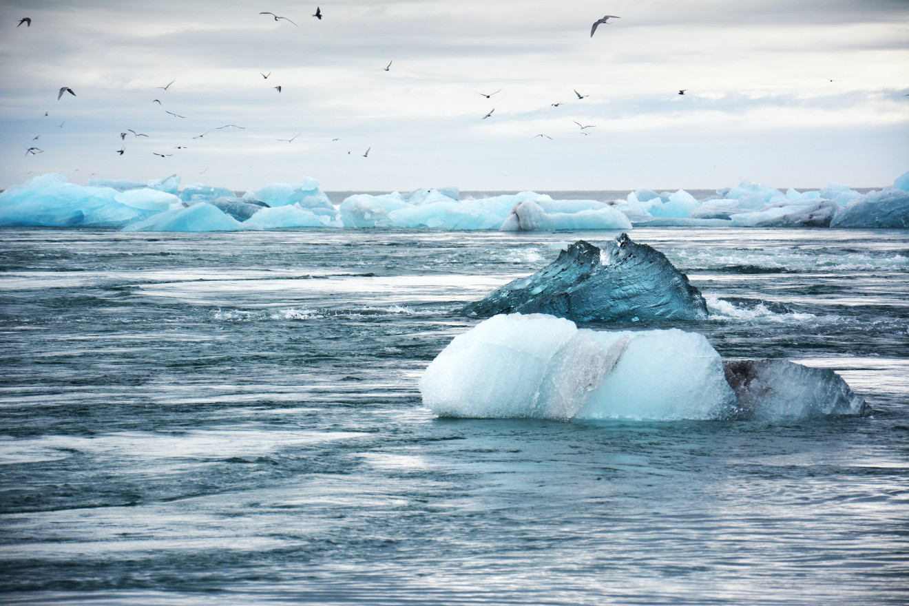 Several blue-hued iceberg in the midst of a body of water as a flock of birds fly low on the horizon.