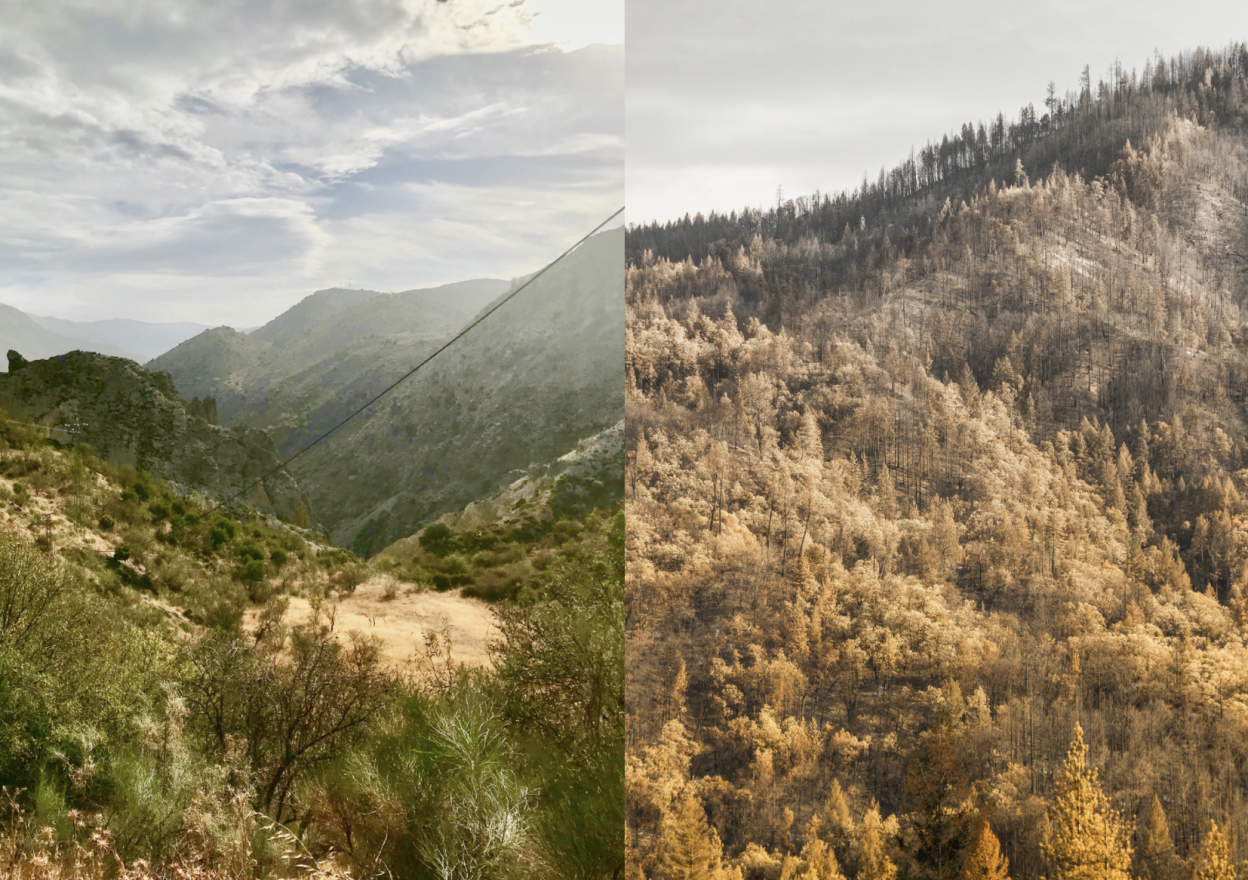 A side by side of two forested mountains.