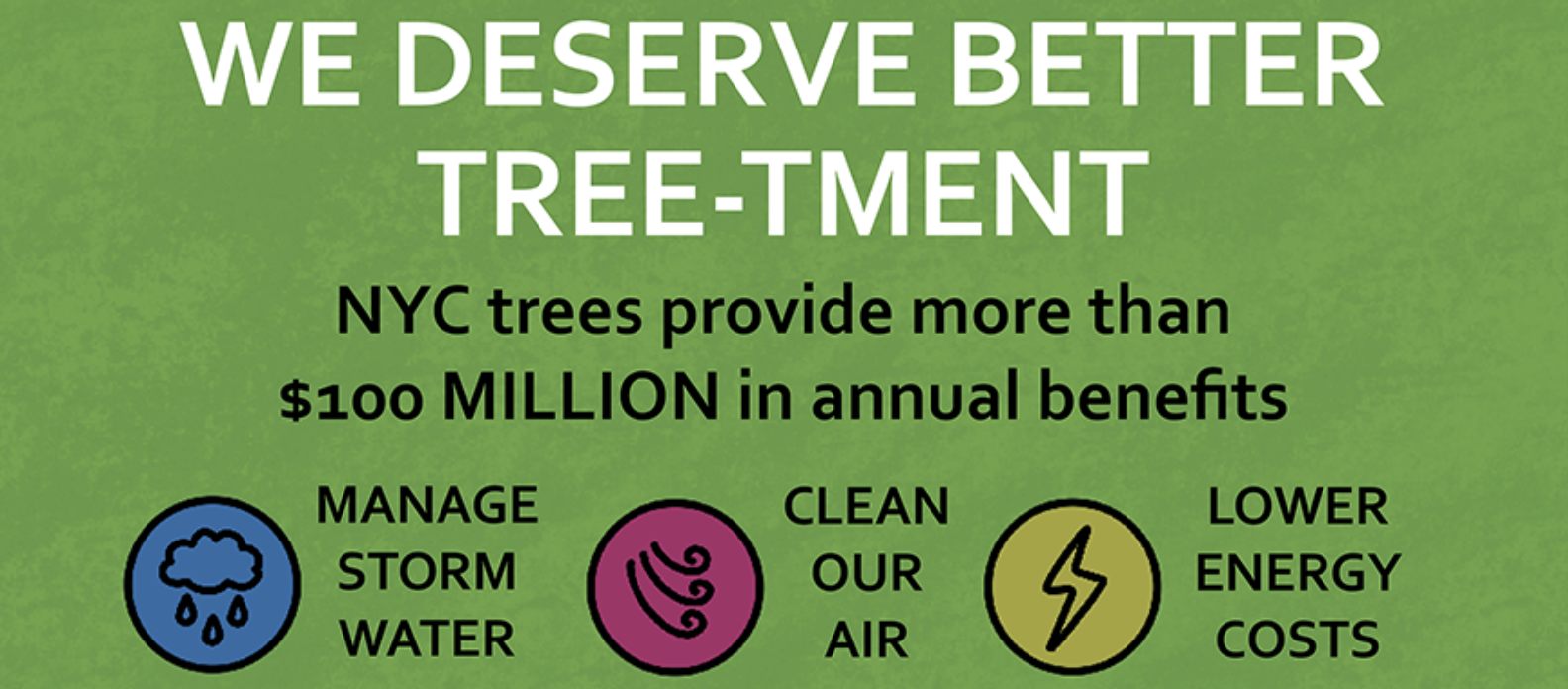 We deserve better tree-tment: Why street trees matter