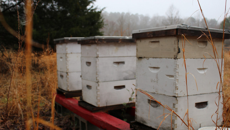 Constructed hives that house bees in the middle of a field under a cloudy sky