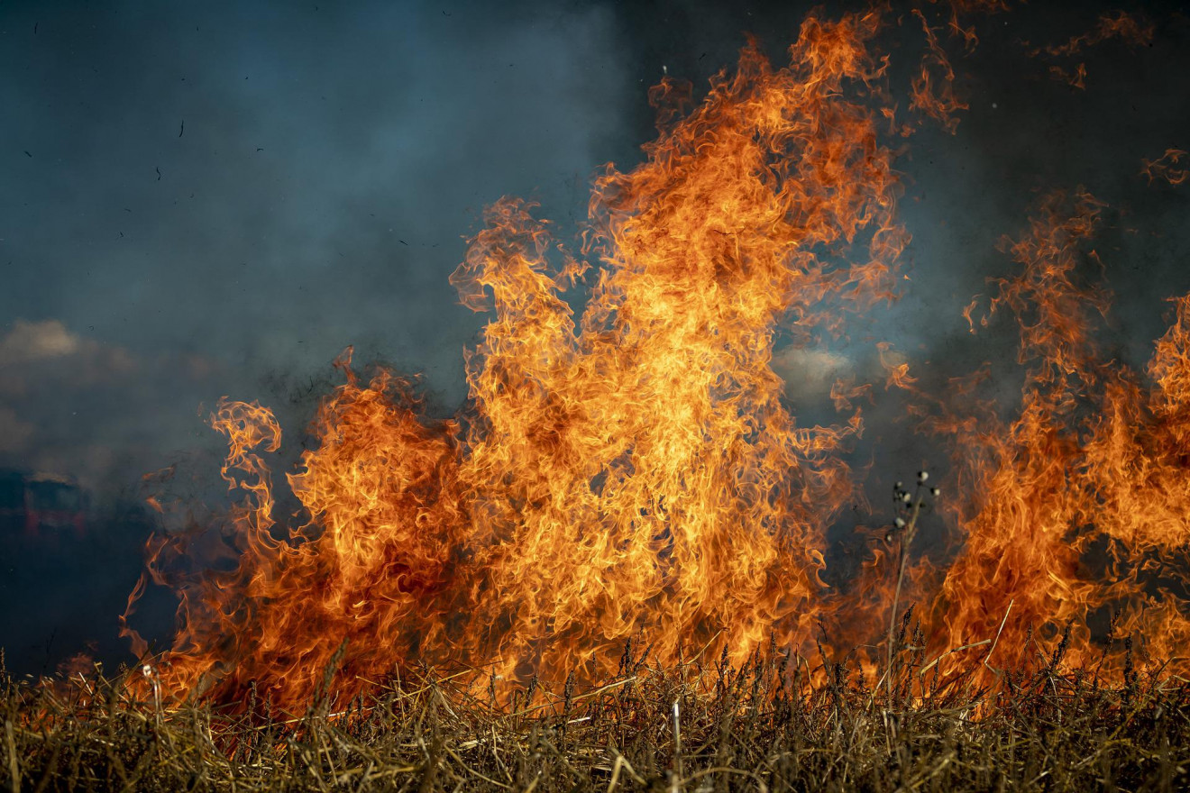 Orange and red fires burns up from browning green grass below under a smokey blue sky.