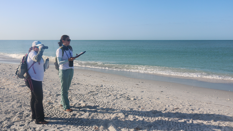 Two people stand by the shoreline of a beach, one carrying a clipboard, the other looking down the beach with a monocular.