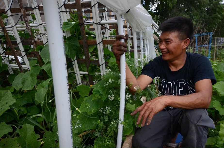 Here’s what a refugee farmer grows on an urban Chicago farm