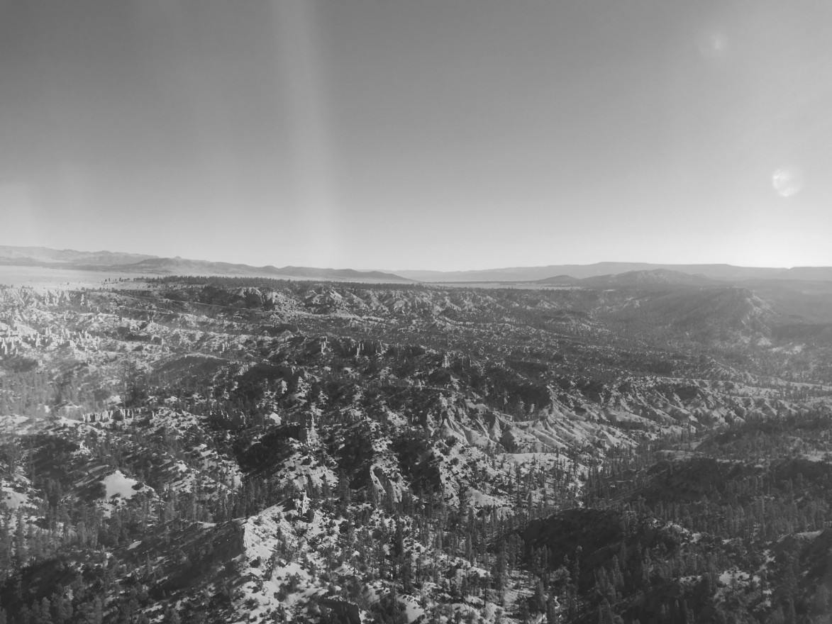 A black and white image of Bryce Canyon, seen from above. 