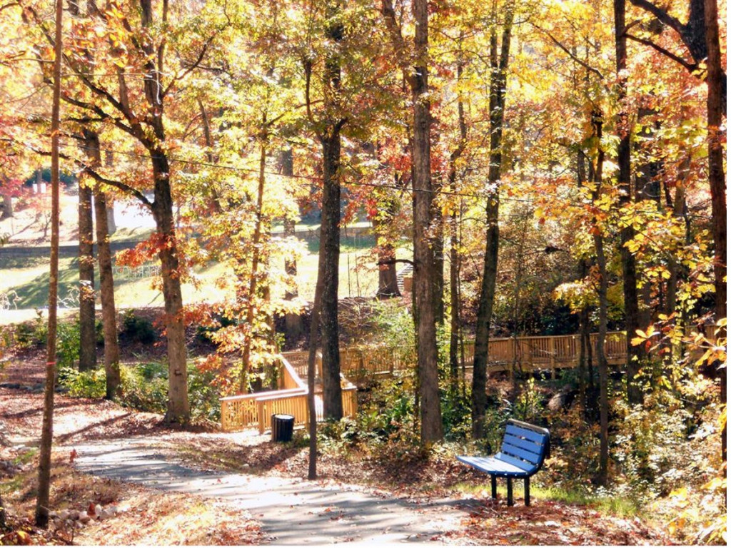 A walkway and park bench surrounded by trees featuring orange, autumnal leaves.