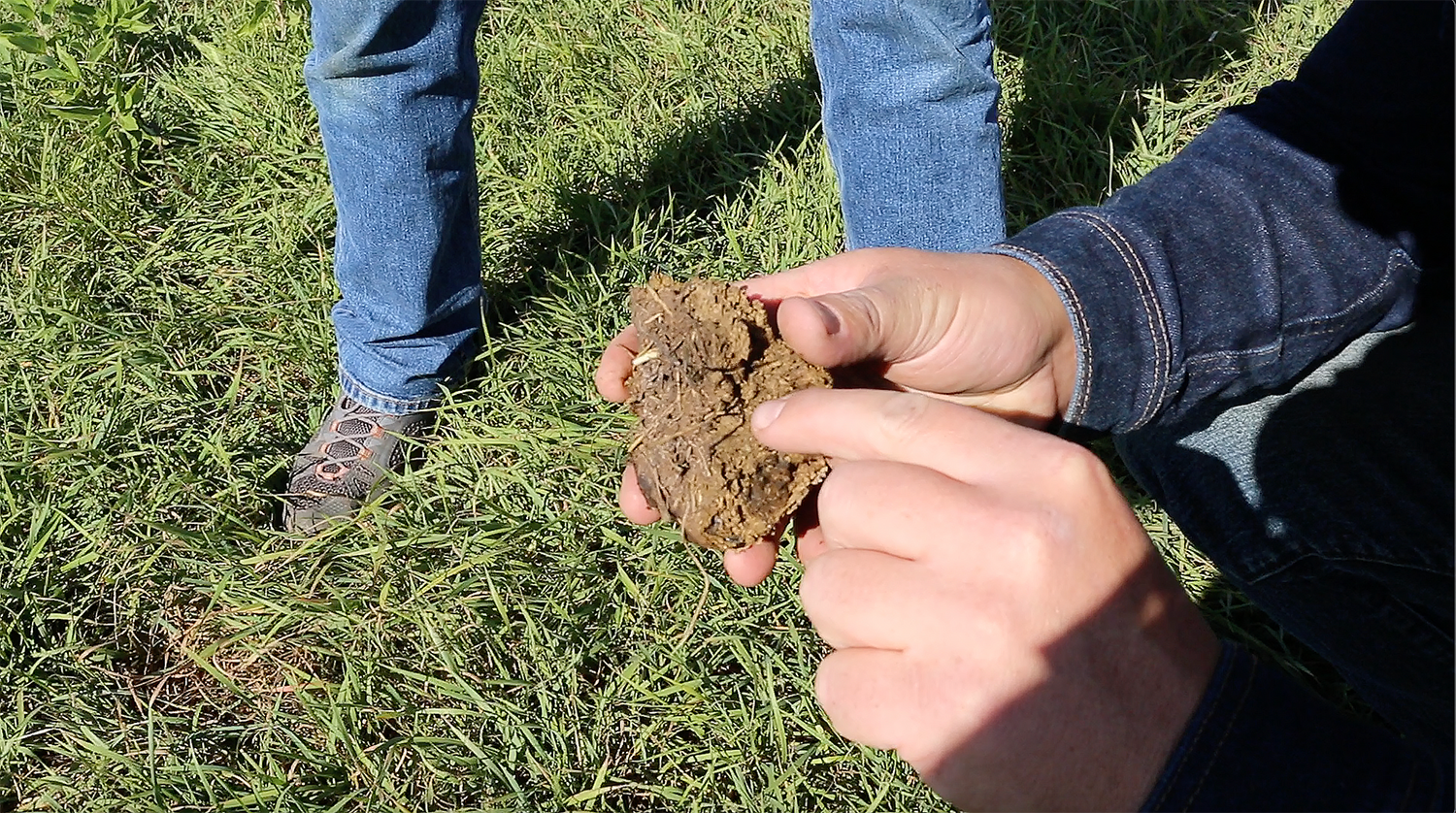 Growing Soil | Nebraska Sandhills hint changing tides in agriculture