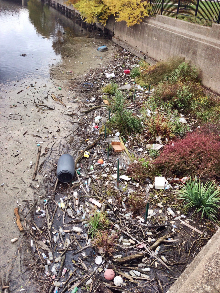 Trash piles up along the side of the Chicago River's North Branch. 