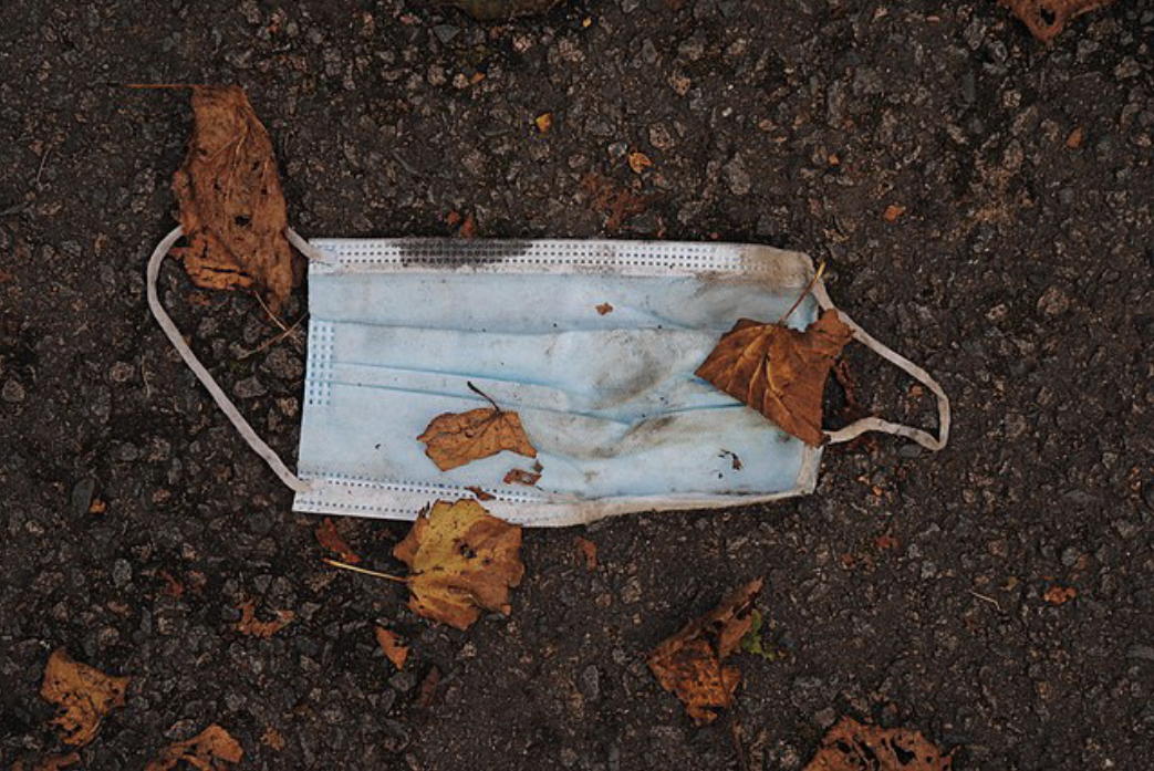 Dirty blue surgical mask on the ground covered in a few fallen leaves.