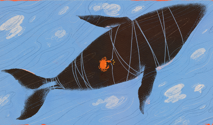 An illustration showing a whale entangled by a crab fishing rope, with a small orange crab on the whale's underside, helping by snipping the rope.