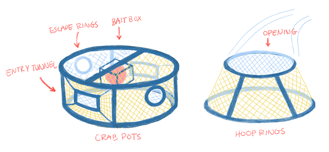 An illustration showing the structural difference between traditional crab pots and hoop rings.