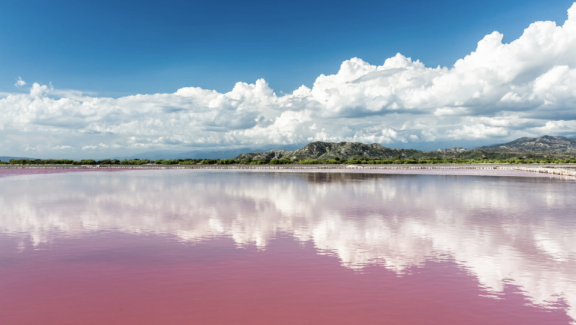 Low lying mountains lie in the distance across a large bay. The water is a distinct pink color as a result of the salt content.