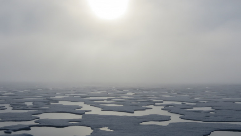 Sheets of ice float atop a calm ocean. The sun appears muted behind a layer of clouds.