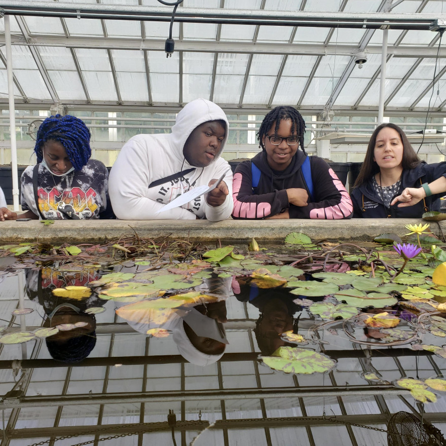 Urban Roots at Garfield Park Conservatory teach Chicago teens how to take care of their environment