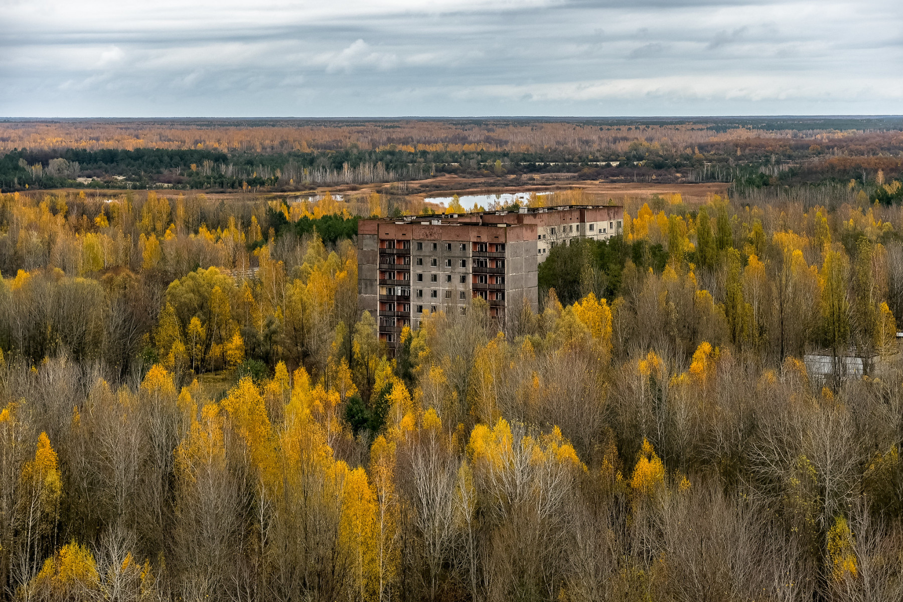 A grey and dilapidated building towers over an autumnal forest inside the Chernobyl Exclusion Zone.