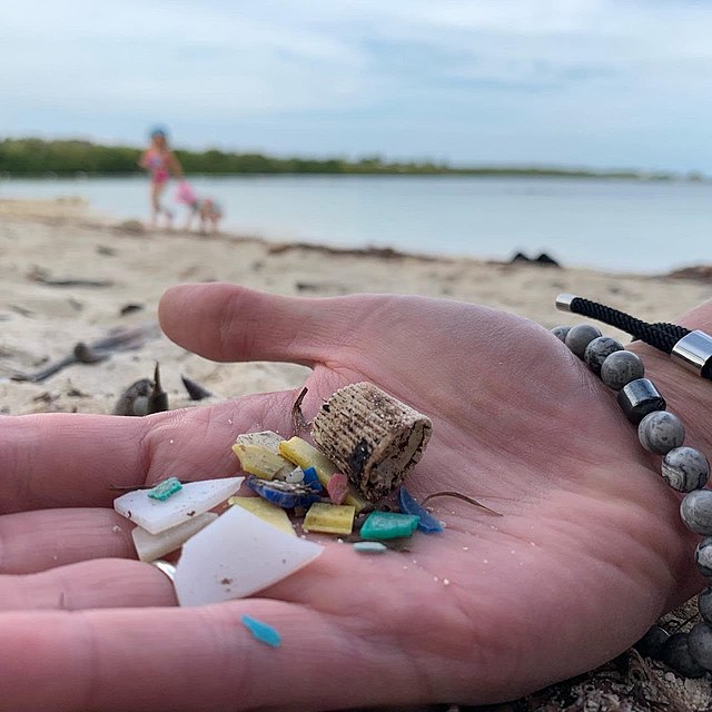 An assortment of small plastic pieces are held in someone's hand with a beach and water in the background.