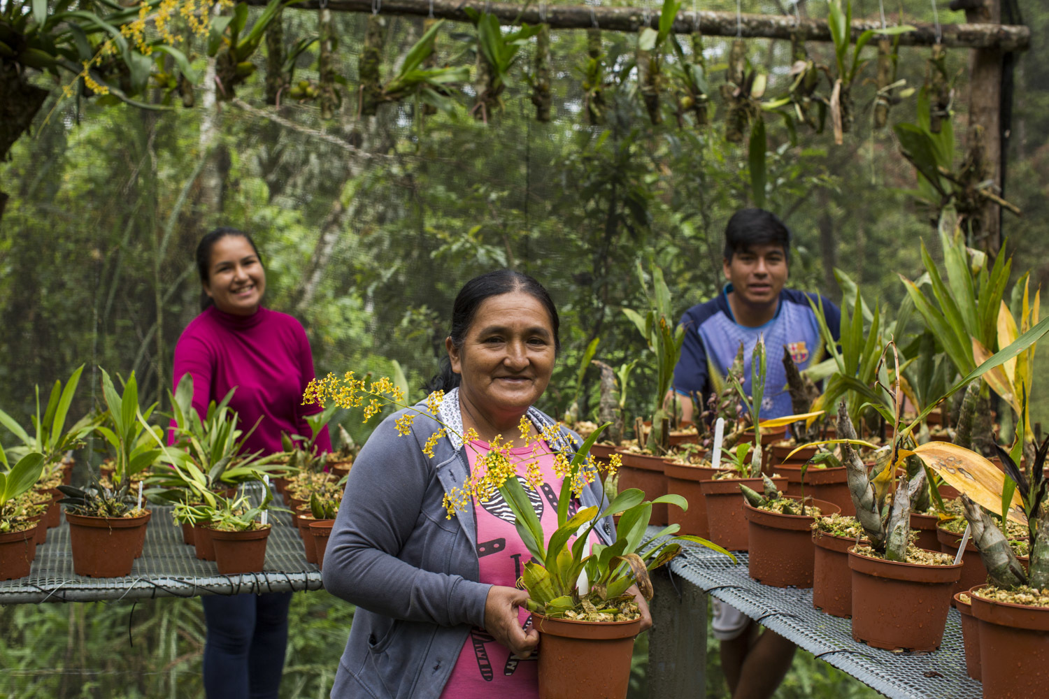 A smiling older woman holds a potted plan in her hand as two young people smile behind rows of potted plants behind her.
