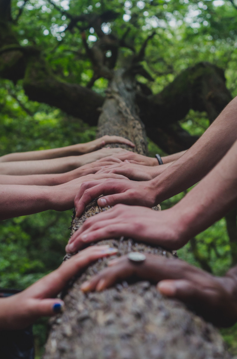 A closeup of a tree trunk with several pairs of hands placing their palms in the bark, symbolizing youth coming together in support of the environment.