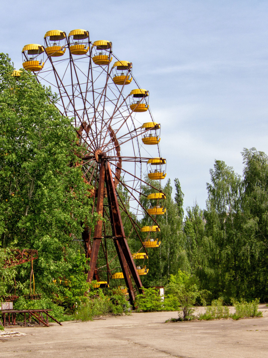 An abandoned ferris wheel with yellow cars being overtaken by green trees and bushes.